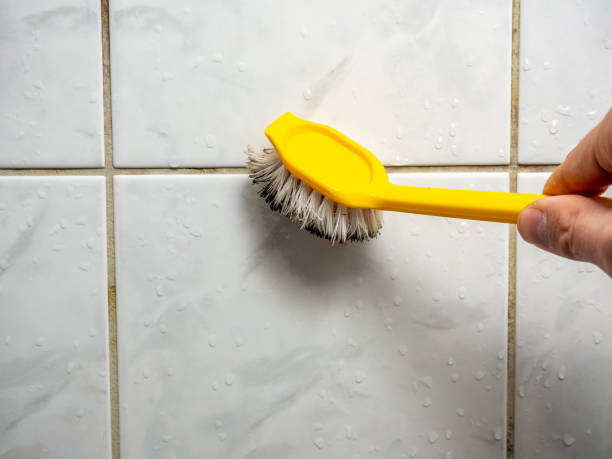 Best Kitchen Mold Remediation in Breckenridge, MN