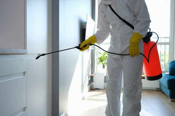 Best Health and Safety Mold Remediation in Breckenridge, MN