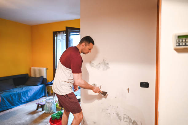 Best Insurance-Related Mold Remediation in Breckenridge, MN